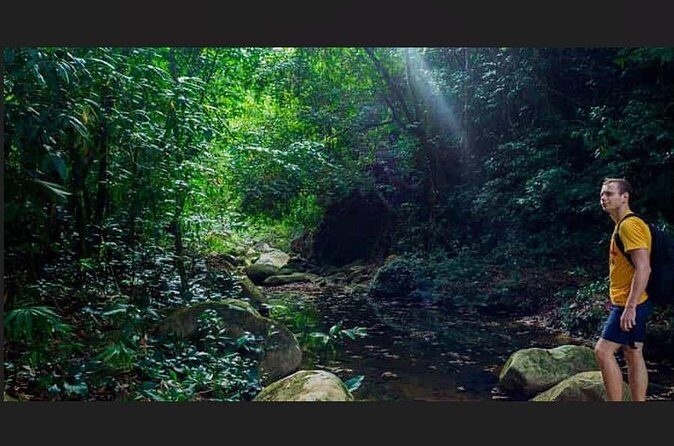 Punta Cana: Los Haitises Hike & Kayaking Mangroves - Dining and Practicalities