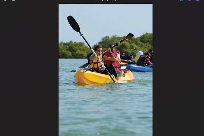 Punta Cana: Los Haitises Hike & Kayaking Mangroves - Final Thoughts