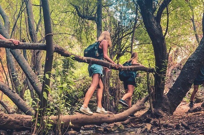 Punta Cana: Los Haitises Hike & Kayaking Mangroves - FAQ