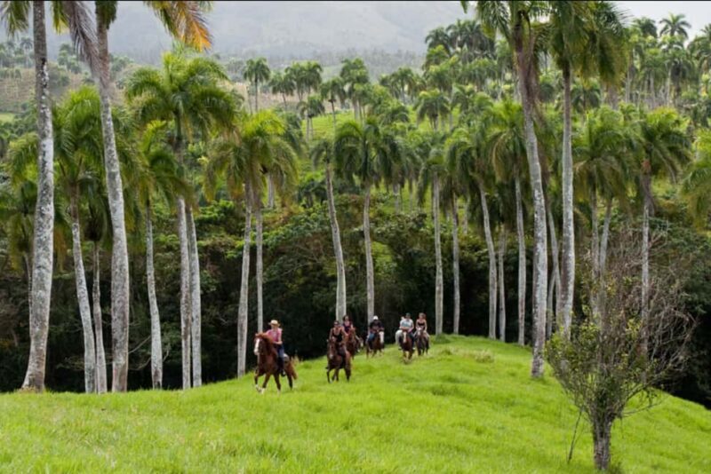 Punta Cana: Los Haitises National Park Horseback & Boat Tour - A Closer Look at the Experience