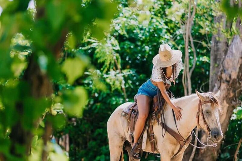 Punta Cana: Los Haitises National Park Horseback & Boat Tour - Value and Overall Impression