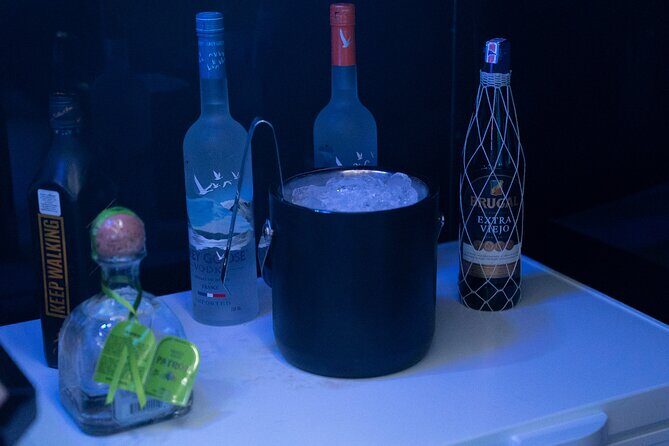 Punta Cana Luxury Party Bus Private Group Rental - The Experience and Its Features