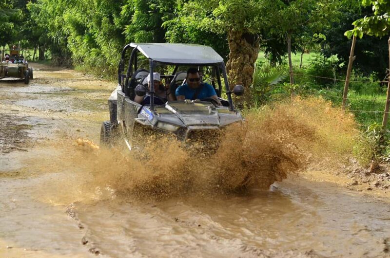 Punta Cana: Macao Beach and Cenote Buggy Adventure - Who Would Enjoy This Tour?