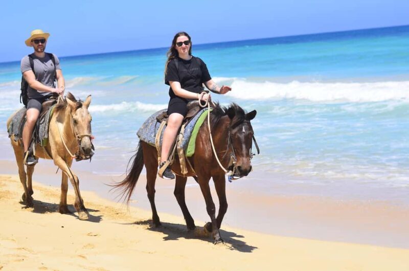 Punta Cana: Macao Beach & Forest Horseback Riding Tour - Who Should Consider This Tour?