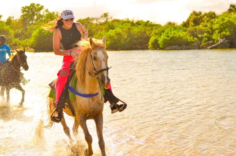 Punta Cana: Macao Beach & Forest Horseback Riding Tour - Final Thoughts