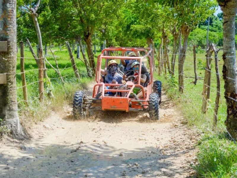 Punta Cana: Macao Buggy Tour - Punta Cana: Macao Buggy Tour – A Practical Look at Adventure in the Dominican Republic  