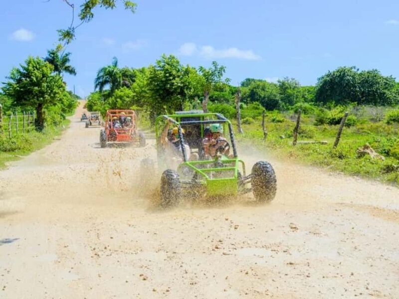 Punta Cana: Macao Buggy Tour - Key Points  