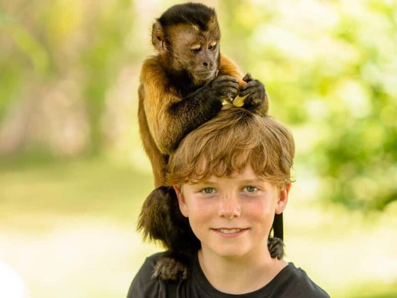 Punta Cana: Monkey Adventure by Jhoraji With Hotel Pick-Up - The Primates Youll Meet