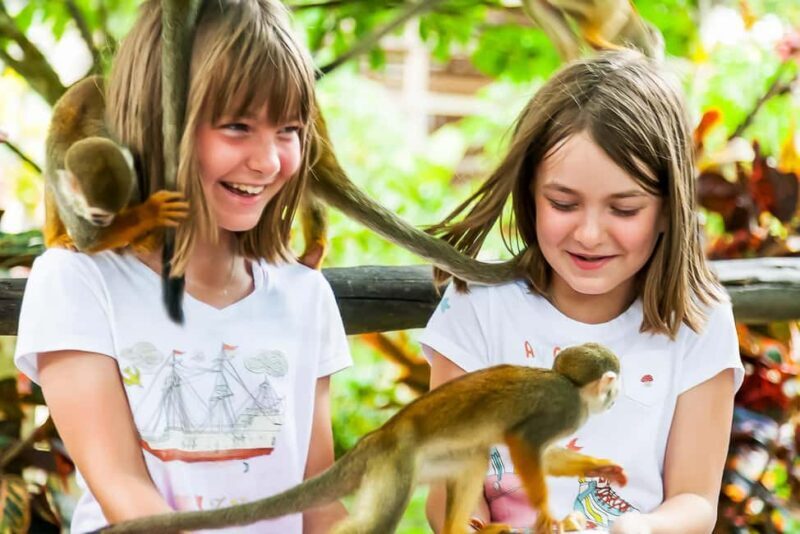 Punta Cana: Monkey Land Half-Day Safari and Plantation - Introduction