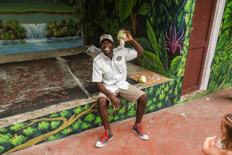 Punta Cana: Monkey Land Half-Day Safari and Plantation - FAQ