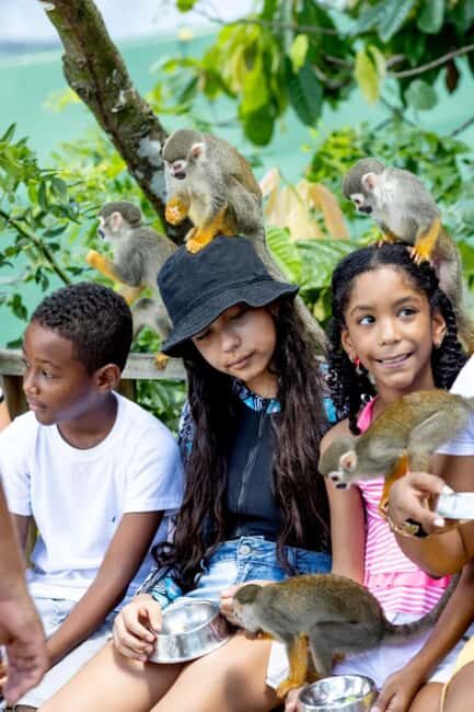 Punta Cana: Monkeyland Half-Day Tour with Snacks and Guide - FAQs
