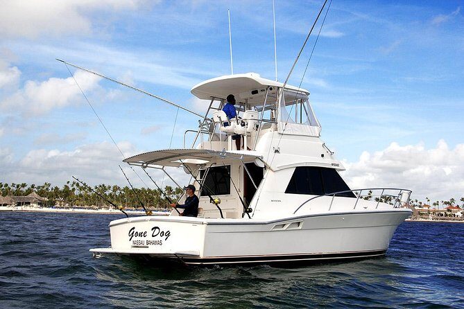 Punta Cana Offshore Deep Sea Fishing Charter - What Makes This Tour Stand Out