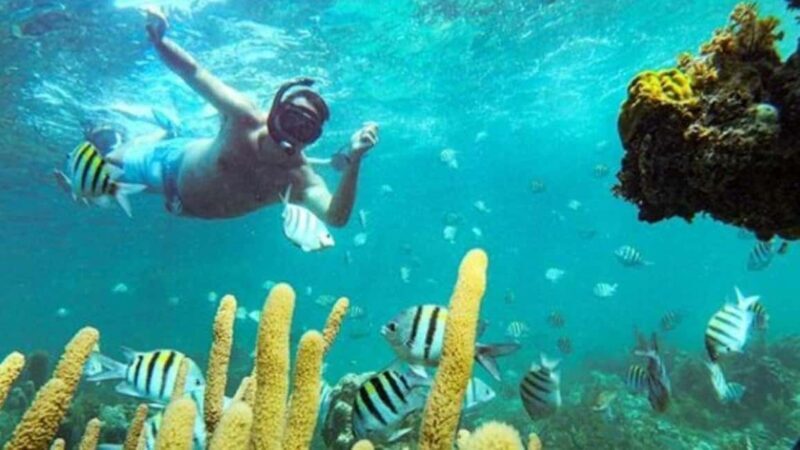 Punta Cana: Party Boat and Snorkeling Adventure - Transportation and Group Size