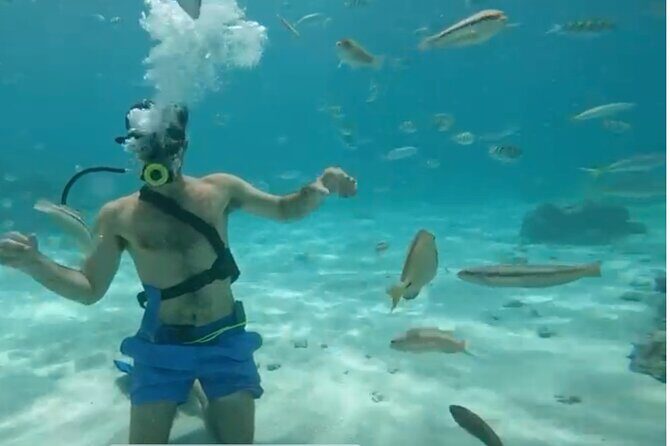 Punta Cana Party Cruise with Snorkeling, Hooka Diving and Parasailing - The Itinerary Breakdown: What to Expect