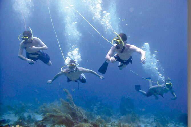 Punta Cana Party Cruise with Snorkeling, Hooka Diving and Parasailing - Cancellation Policy and Practicalities