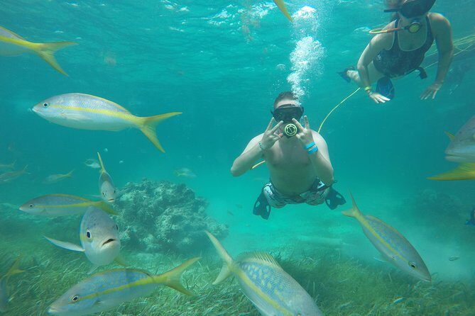 Punta Cana Party Cruise with Snorkeling, Hooka Diving and Parasailing - Final Thoughts: Is This Tour Right for You?