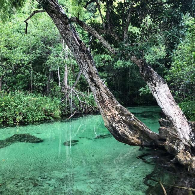 Punta Cana: Playa Rincon, Samana, & Cayo Levantado Day Trip - Starting Point: From Punta Cana to the Samaná Peninsula
