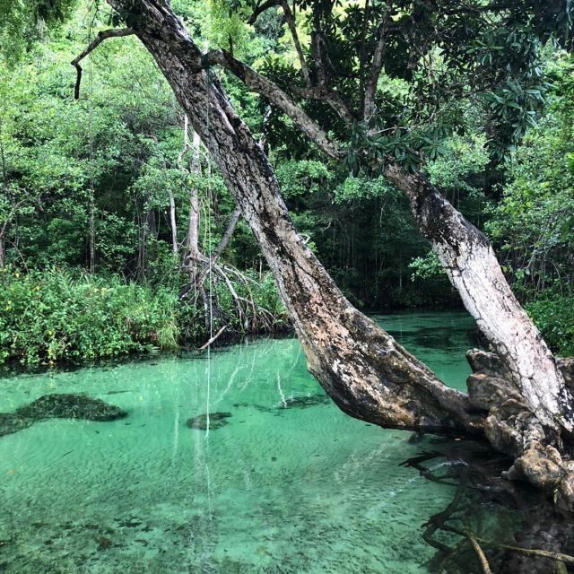 Punta Cana: Playa Rincon, Samana, & Cayo Levantado Day Trip - Cayo Levantado: An Island Paradise