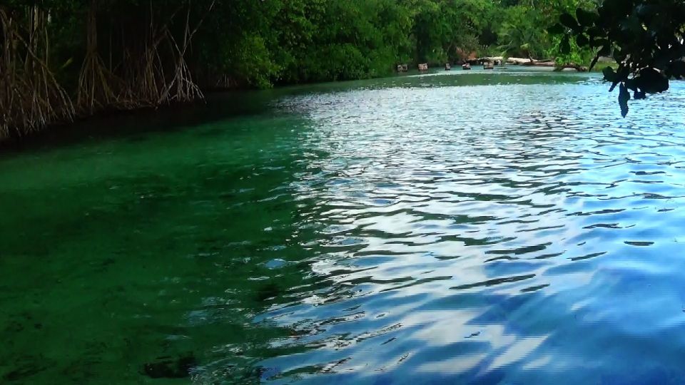 Punta Cana: Playa Rincon, Samana, & Cayo Levantado Day Trip - Canoeing Through Mangroves