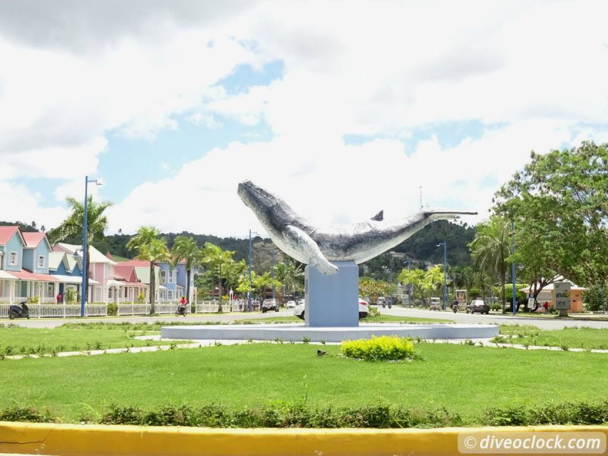 Punta Cana: Playa Rincon, Samana, & Cayo Levantado Day Trip - Important Information and Recommendations