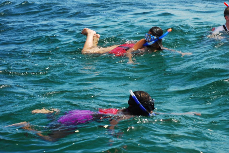 Punta Cana: Premium Catamaran Tour With Drinks and Snacks - Snorkeling and Marine Life