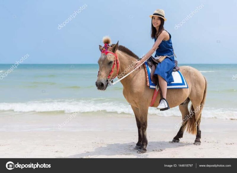 Punta Cana: Private Buggy, Horseback, Zipline & Catamaran - Starting Point & Logistics