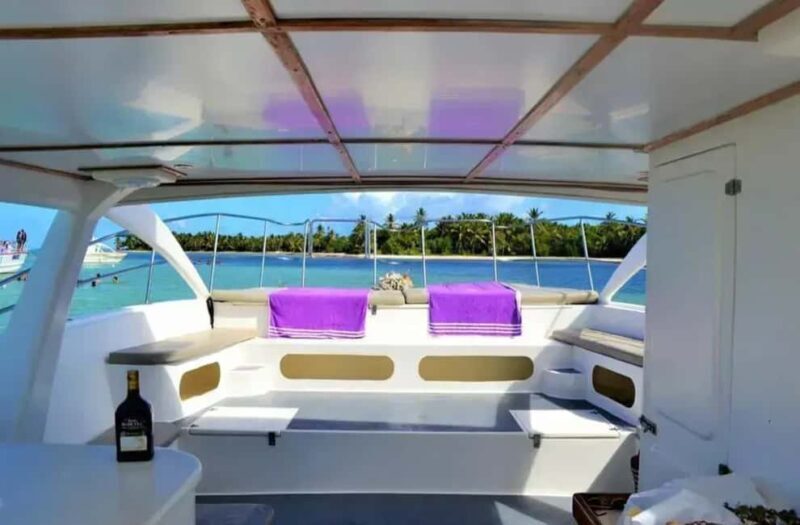 Punta Cana: Private Catamaran Cruise with Open Bar - Introduction
