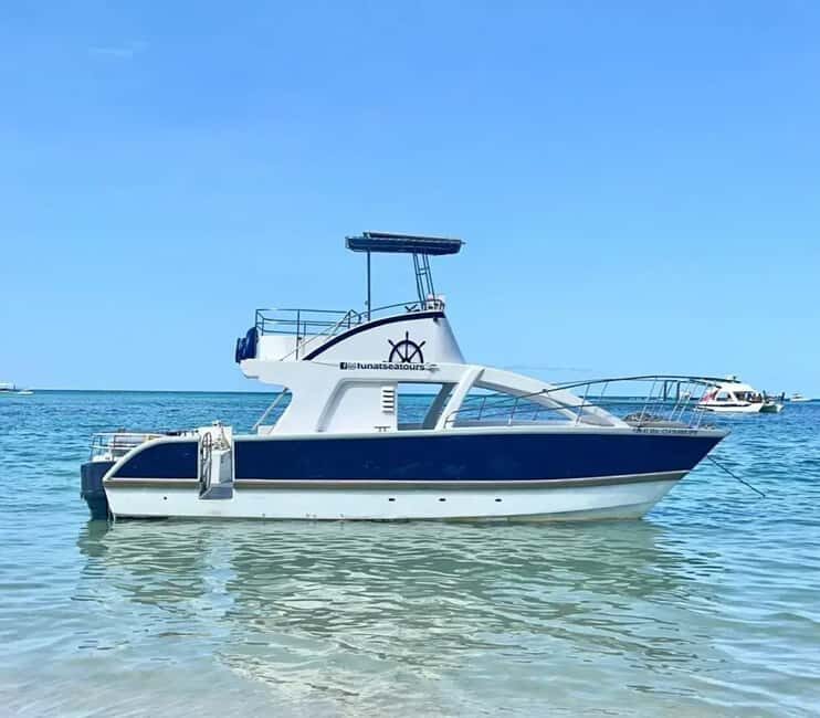 Punta Cana: Private Catamaran Cruise with Open Bar - Key Points