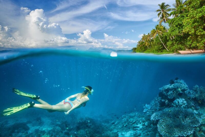 Punta Cana Private Catamaran (Small Group) - Who Will Love This Tour?