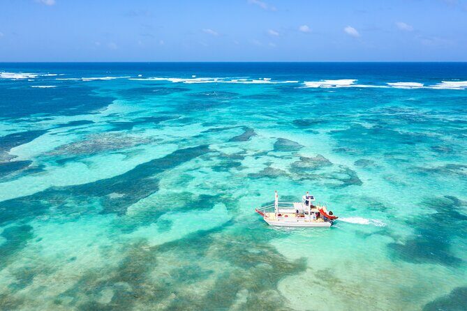 Punta Cana Private Catamaran with Snorkeling, Lunch & Open Bar - The Sum Up