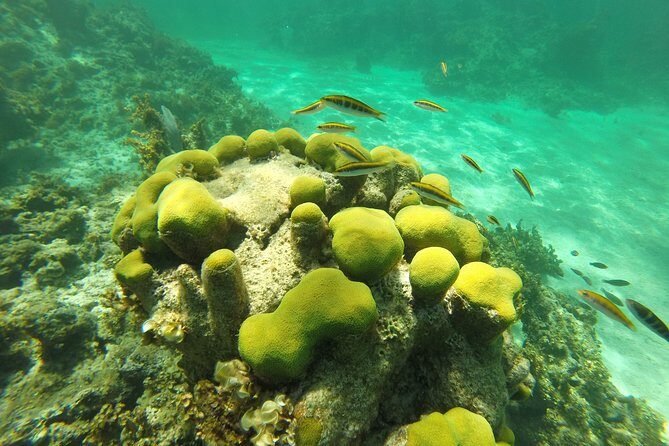 Punta Cana Private Cruise up to 10 people - Final Thoughts