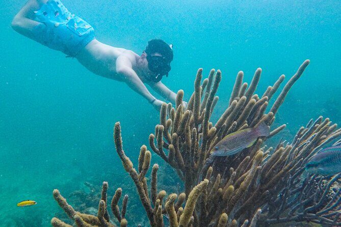 Punta Cana Private Cruise Up To 10 Snorkeling & Seafood lunch - FAQ