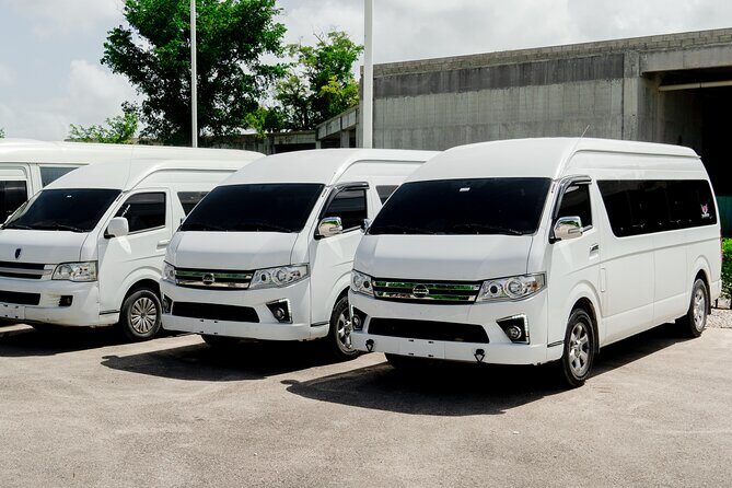 Punta Cana Private One-Way or Round-Trip Airport Transfers - Key Points  