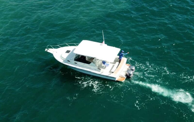 Punta Cana: Private Trolling Fishing Trip with Pickup - The Experience: What You Can Expect
