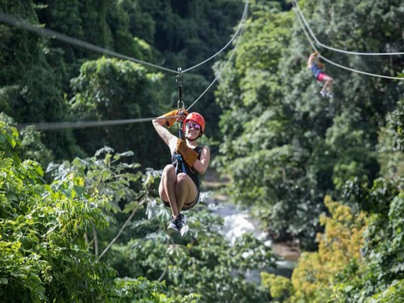 Punta Cana: Rainforest Zipline Adventure - Key Points