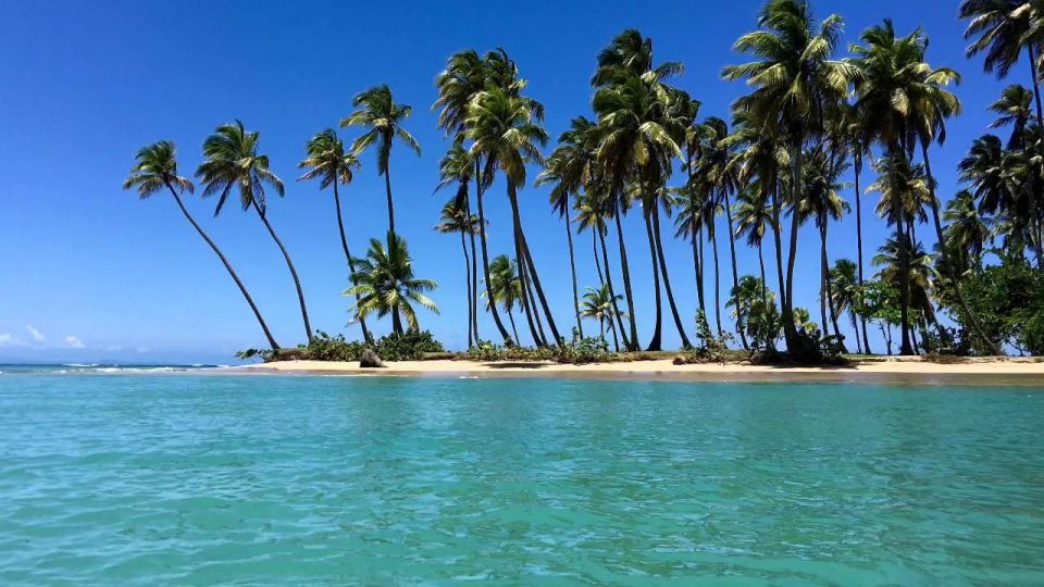 Punta Cana: Redonda Mountain and Esmeralda Coast Experience - Activities at Montaña Redonda