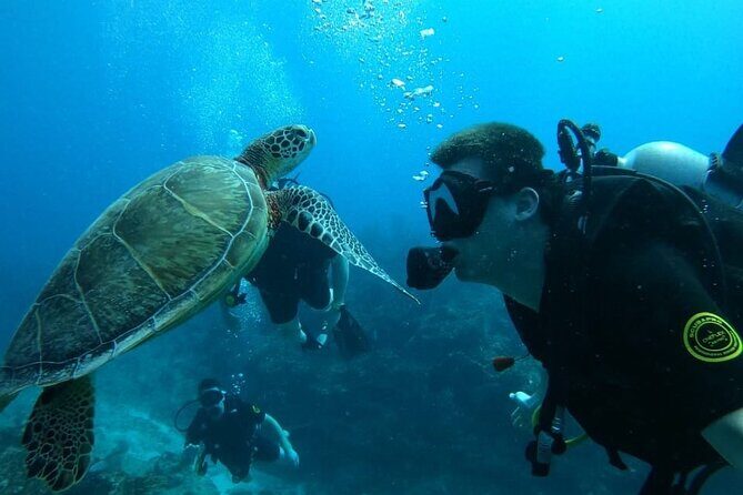 Punta Cana Reef Diving Adventure Explore Underwater Wonders - What You Can Expect During the Tour