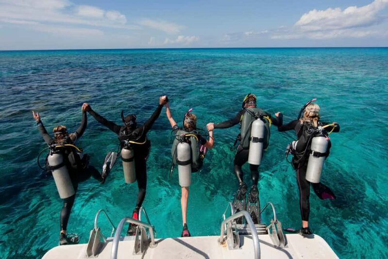 Punta Cana: Reef Diving Adventure Explore Underwater Wonders - Practicalities and Considerations