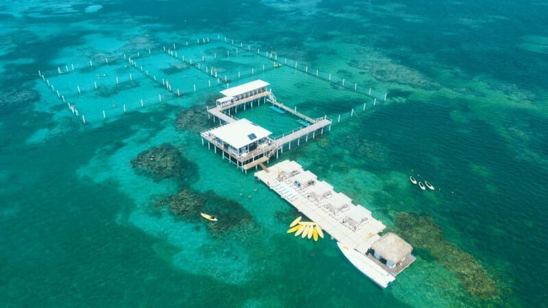 Punta Cana: Reef Explorer Access w/ Sharks & Stingrays Swim - Key Points