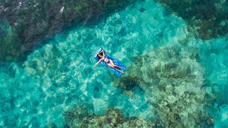 Punta Cana: Reef Explorer Access w/ Sharks & Stingrays Swim - Who Should Consider This Tour?