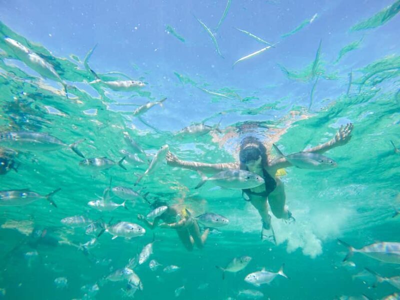 Punta Cana: Reef Explorer Access w/ Sharks & Stingrays Swim - FAQ: Your Practical Questions Answered