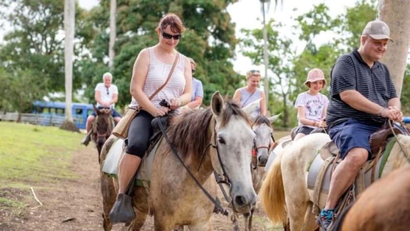 Punta Cana: Safari and City Tour with Horseback Riding - Key Points