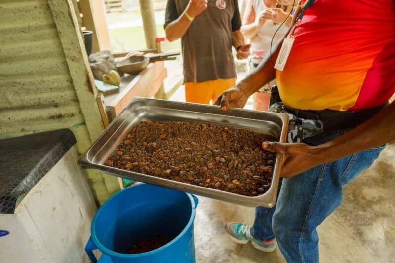 Punta Cana safari experience and historical city tour - FAQs