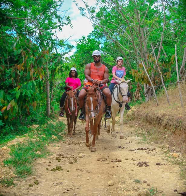 Punta Cana: Safari Zip-Line, Buggy and Horse Riding - What to Expect: An Itinerary Overview