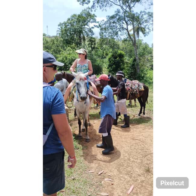 Punta Cana: Samaná Cayo Levantado & El Limón Waterfall Tour - Final Thoughts