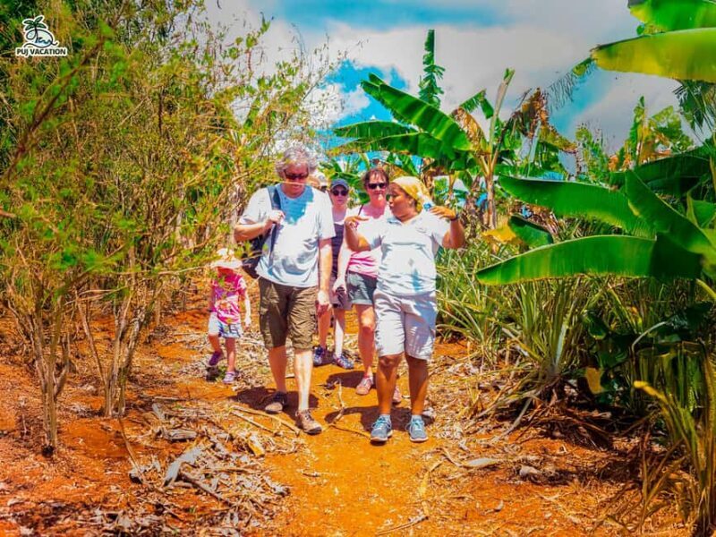 Punta Cana: Samana safari between waterfalls and beaches - Key Points