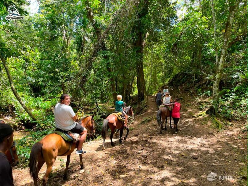Punta Cana: Samana safari between waterfalls and beaches - What to Expect from the Samana Safari