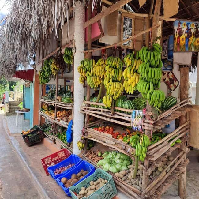 Punta Cana: Samana safari between waterfalls and beaches - Who Would Love This Tour?