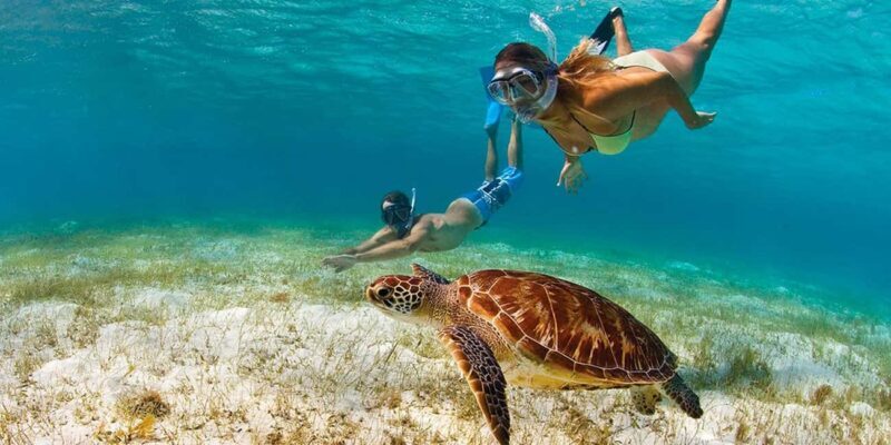 Punta Cana: Saona Island and Chavón River Combo with Guided Tours - Who Will Love This Tour?