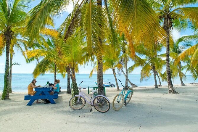 Punta Cana: Saona Island Catamaran Open Bar / Food Hotel Pickup - Key Points